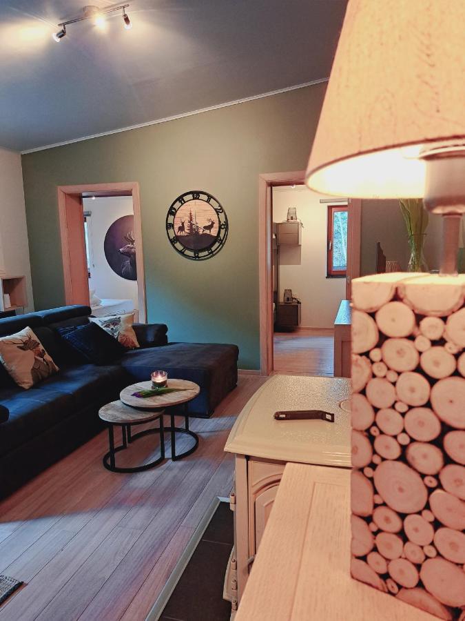Vakantiehuis Le Ri De Va Maboge La Roche En Ardenne *