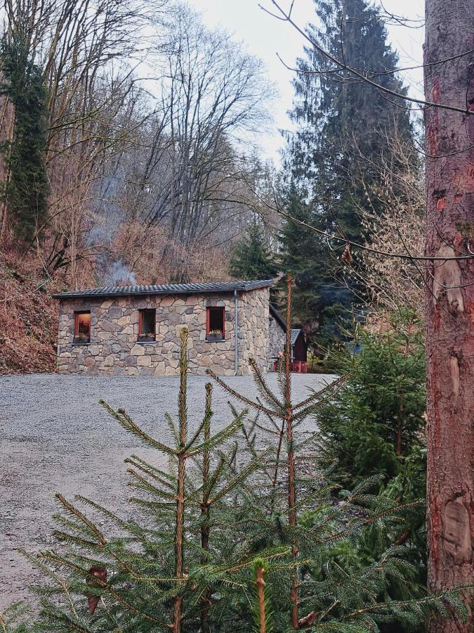 Vakantiehuis Le Ri De Va Maboge La Roche En Ardenne