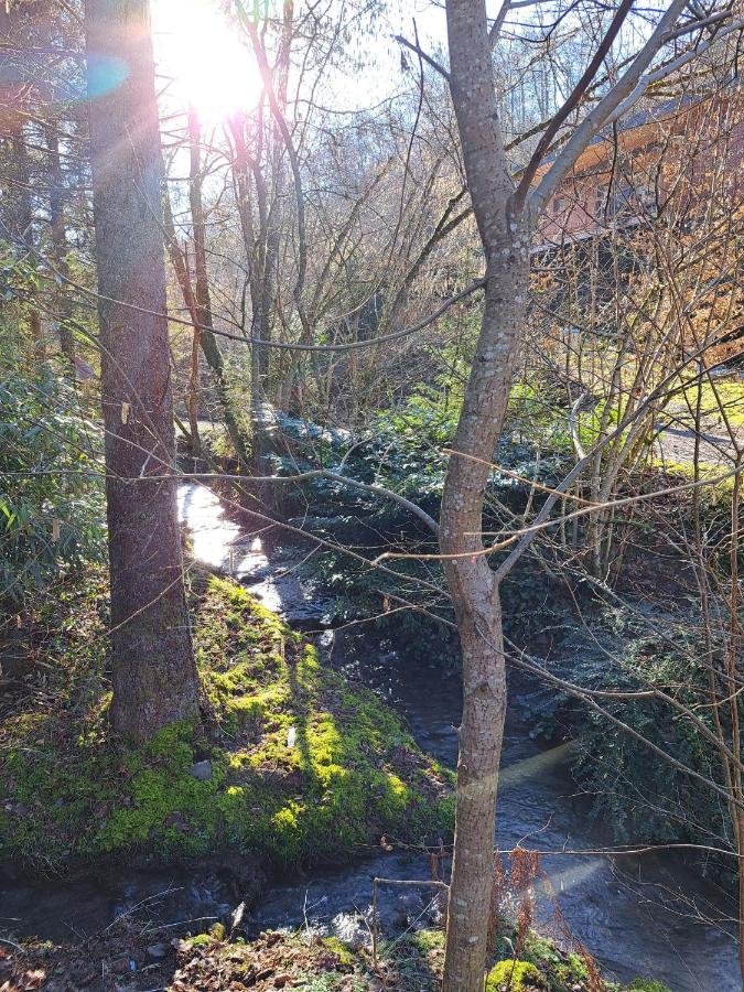 Ferienhaus Le Ri De Va Maboge La Roche En Ardenne *